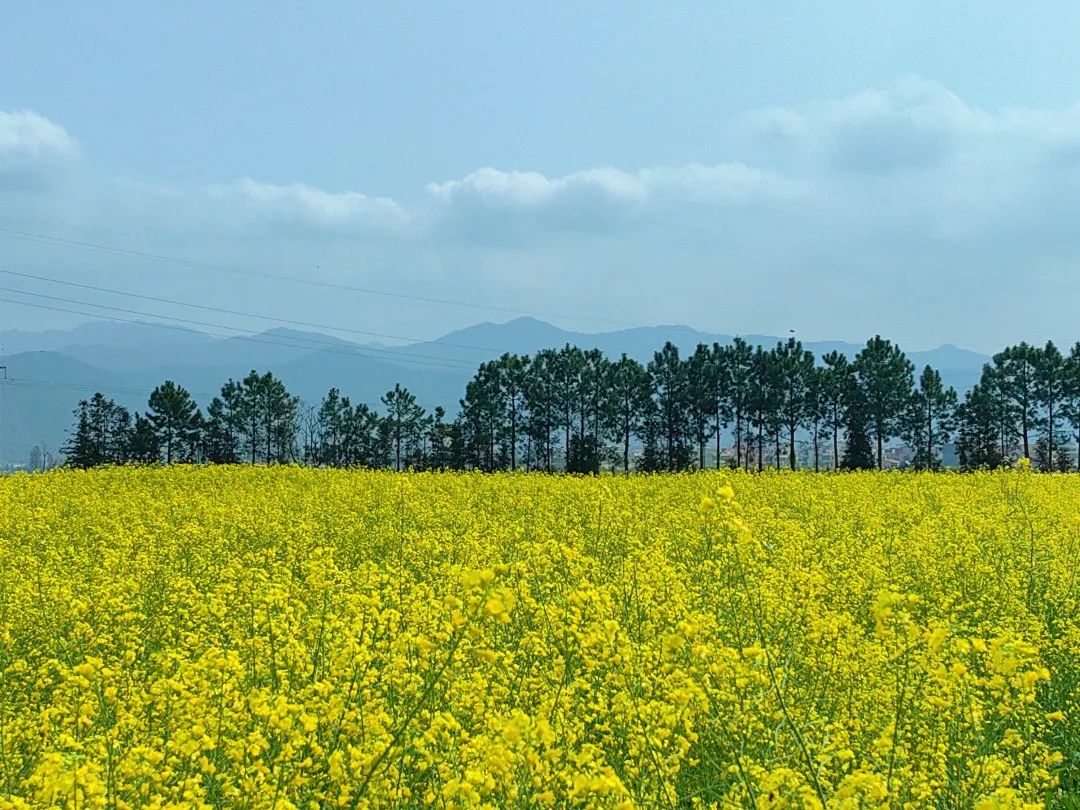 轉(zhuǎn)存圖片