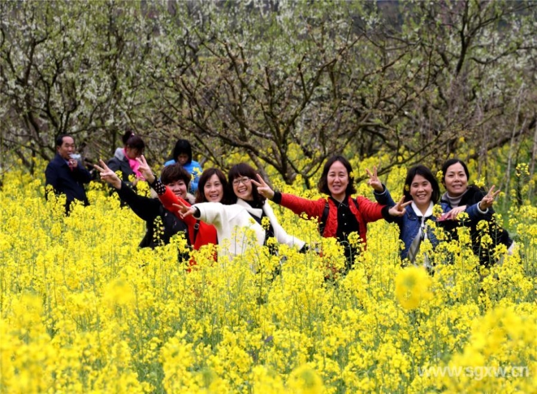 花海吸引無數(shù)游客到來。 張偉 攝.jpg